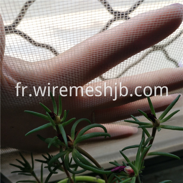 Plastic Insect Screen Mesh